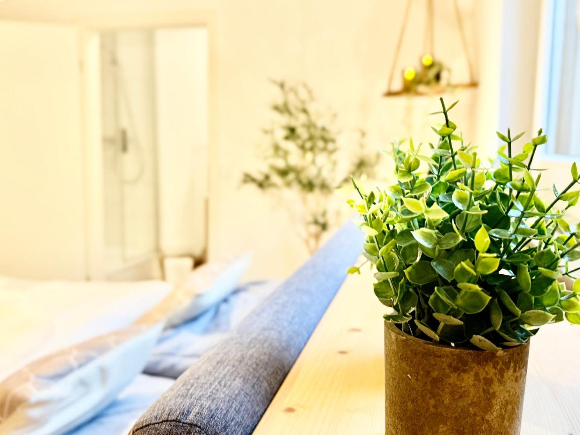 Ferienwohnung Oberwinter Bei Bonn Bandorf Bagian luar foto
